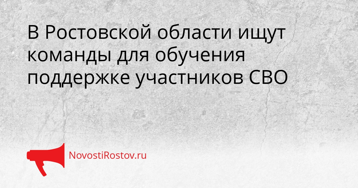 В Ростовской области ищут команды для обучения поддержке участников СВО Сгенерировано