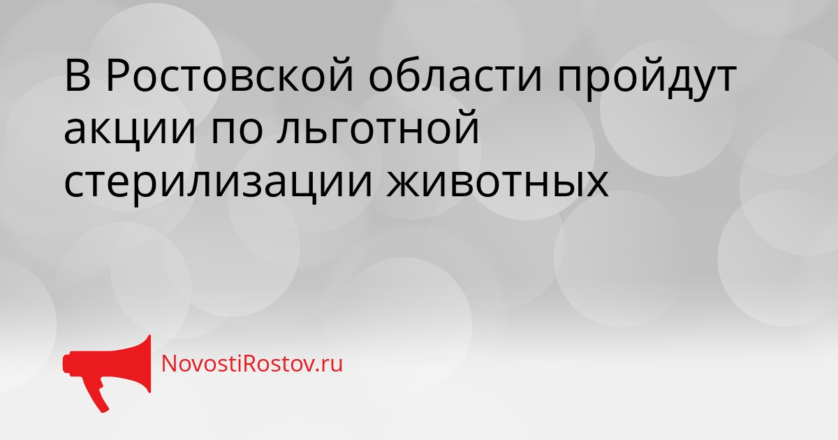 В Ростовской области пройдут акции по льготной стерилизации животных Сгенерировано