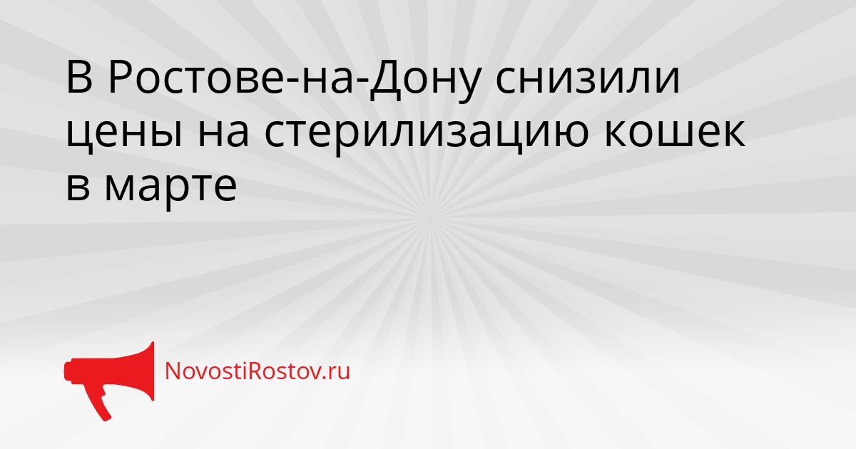 В Ростове-на-Дону снизили цены на стерилизацию кошек в марте Сгенерировано