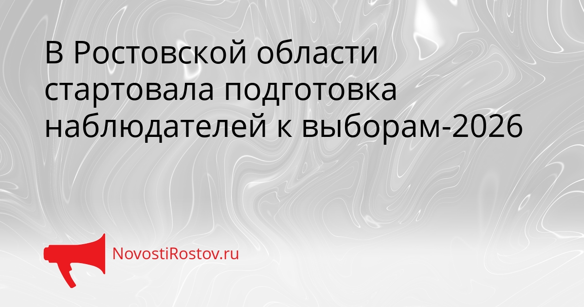 В Ростовской области стартовала подготовка наблюдателей к выборам-2026 Сгенерировано
