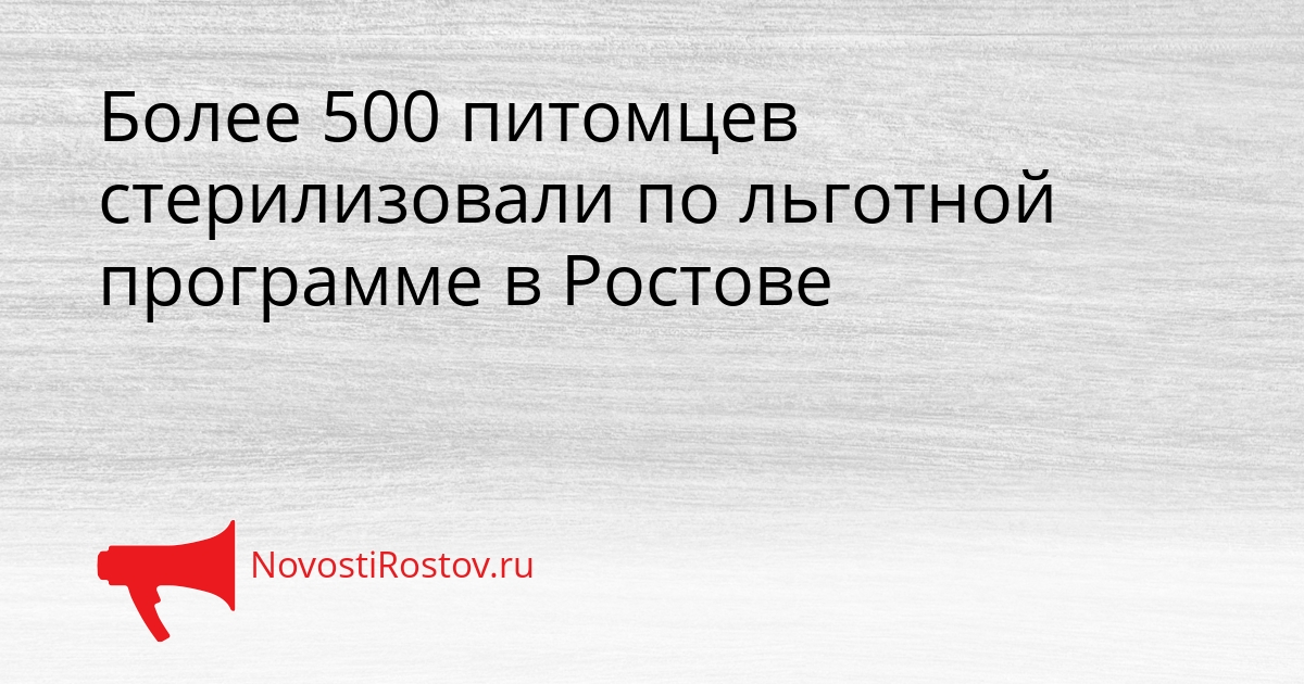 Более 500 питомцев стерилизовали по льготной программе в Ростове Сгенерировано