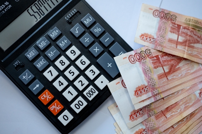 Налоговая недоимка на Дону сократилась на 10% за полгода - NovostiRostov, 30.07.2025