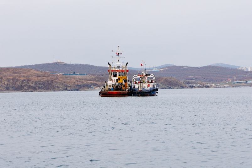 Прокуратура начала проверку после столкновения судов в акватории Дона - NovostiRostov, 10.11.2025