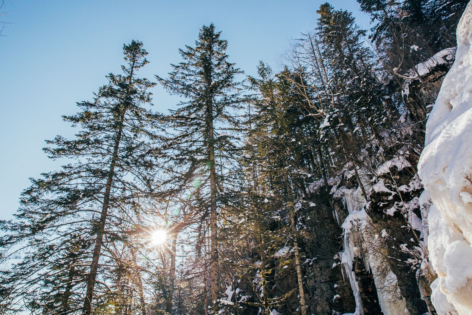 зима, лес, снег, природа, погода, мороз, зимние каникулы Мария Смитюк, ИА PrimaMedia