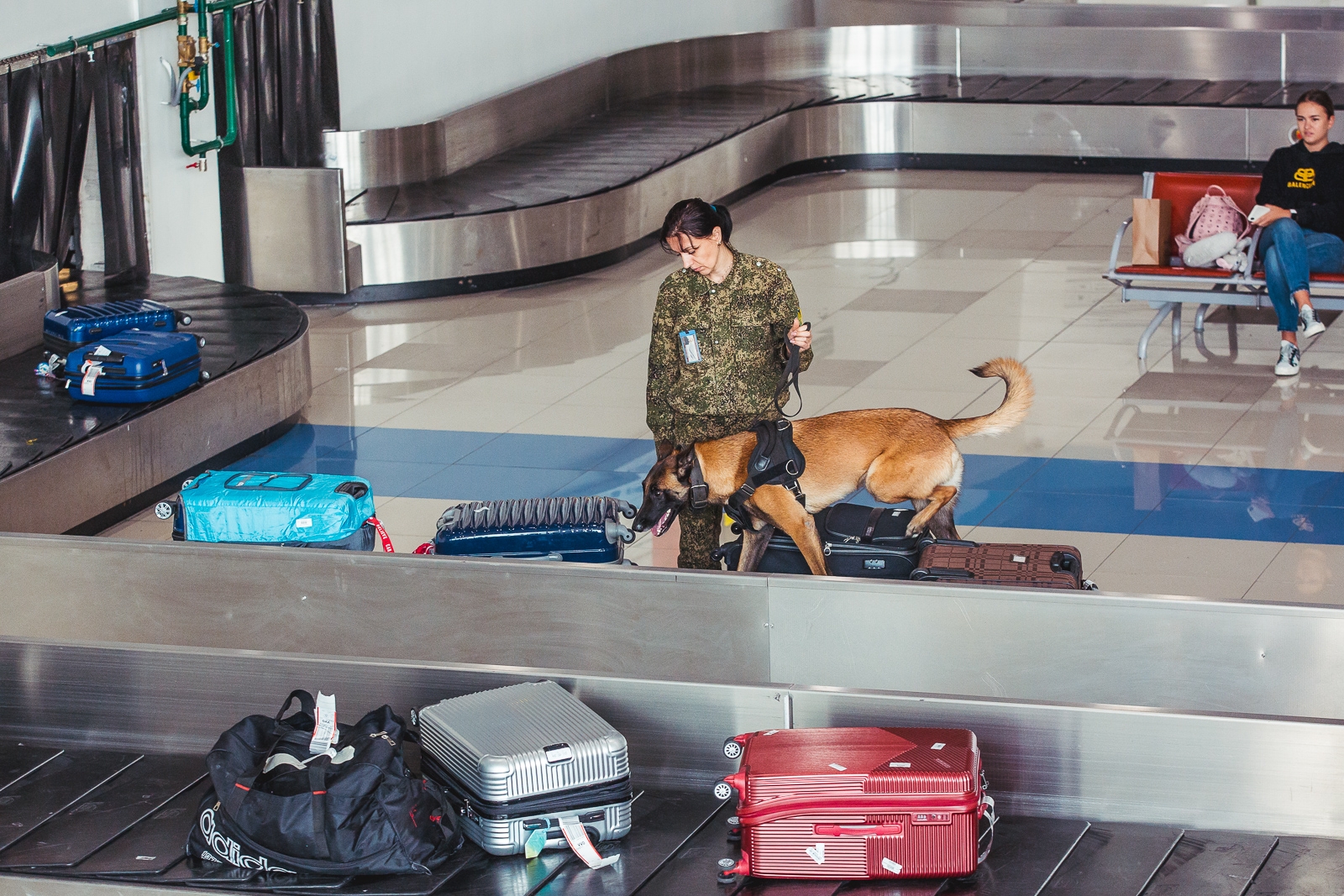 таможня, Аэропорт, таможня,  полет, перелет, пассажиры, багаж ,стойка регистрации, рейс, отмена Мария Бородина, ИА PrimaMedia