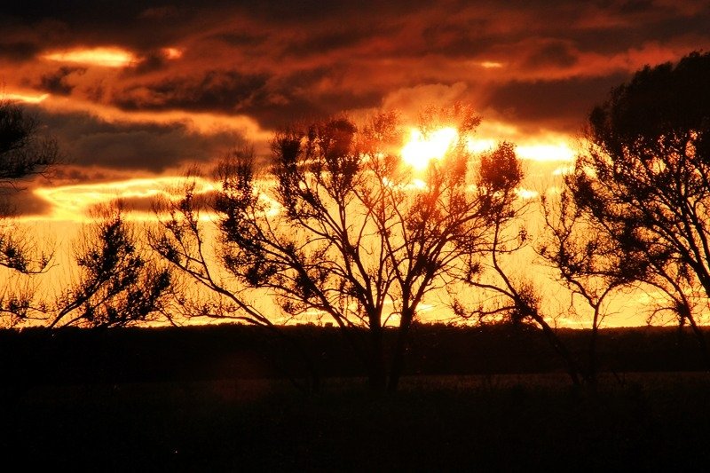 Планету ждет климатический переворот Антон Балашов