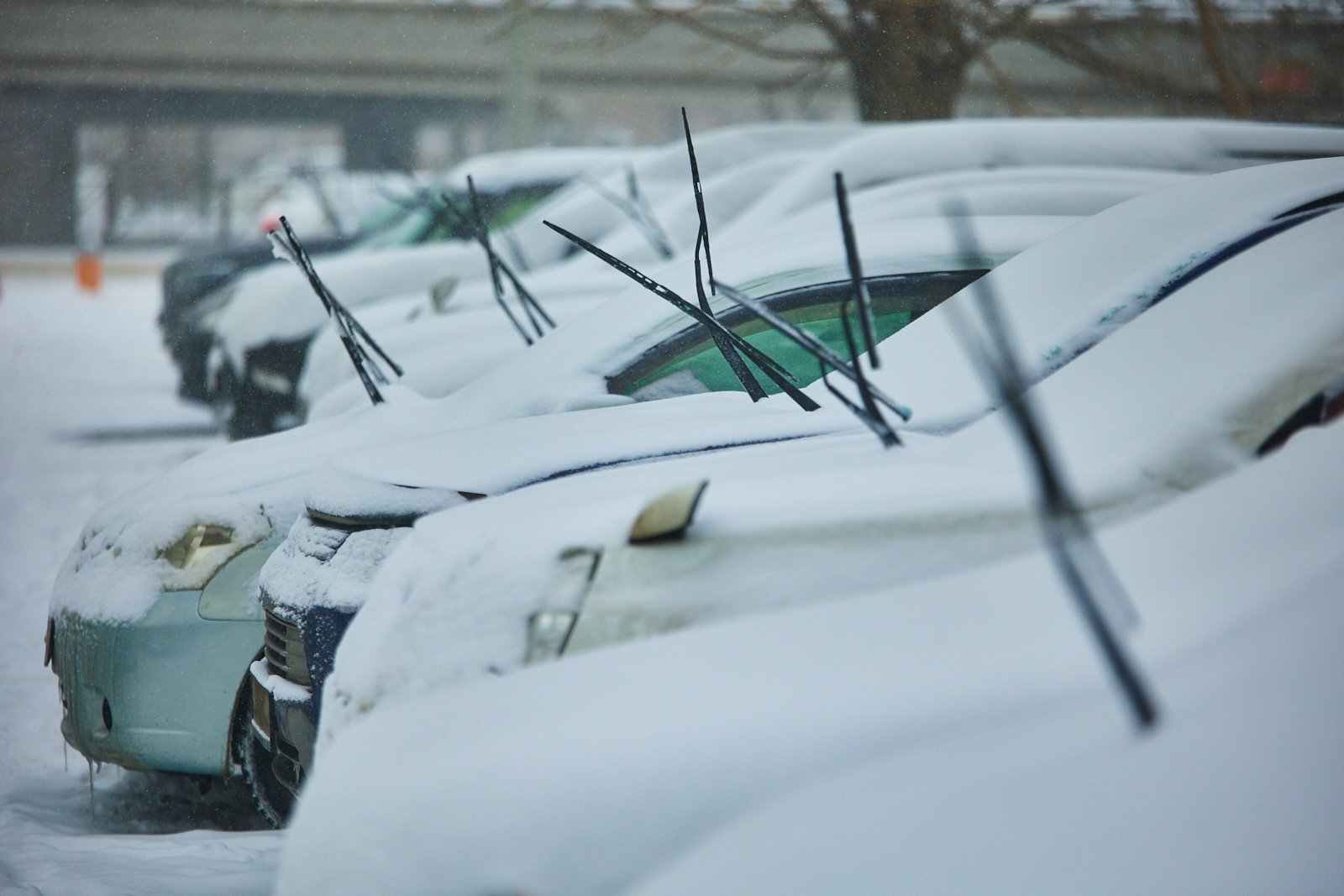 Юрист объяснил, можно ли наказать сотрудника за опоздание из-за снегопада Дмитрий Осипчук, ИА PrimaMedia.ru