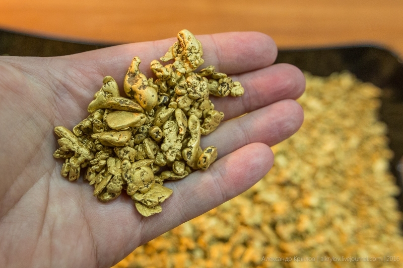 Из России стали чаще пытаться вывезти золото Александр Крылов, ИА MagadanМedia