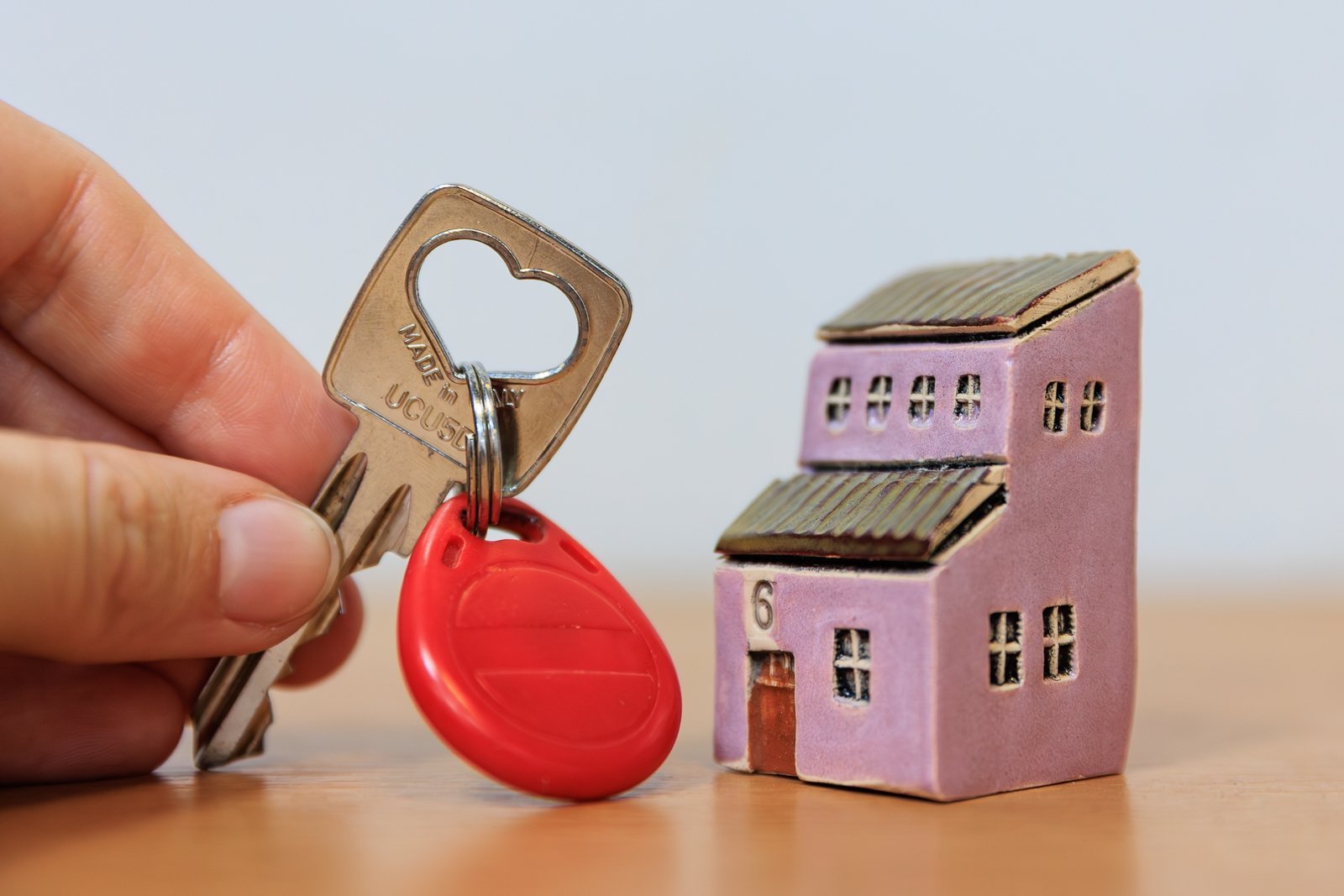 &quotСхема Долиной&quot ушла в аренду Яна Гайдук, ИА PrimaMedia