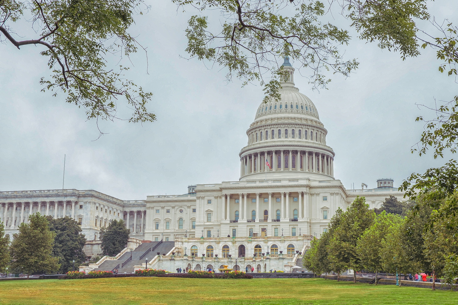 В Белом доме заявили, что президент Трамп сможет добиться мира между Москвой и Киевом в ближайшие несколько месяцев Мария Смитюк, ИА PrimaMedia