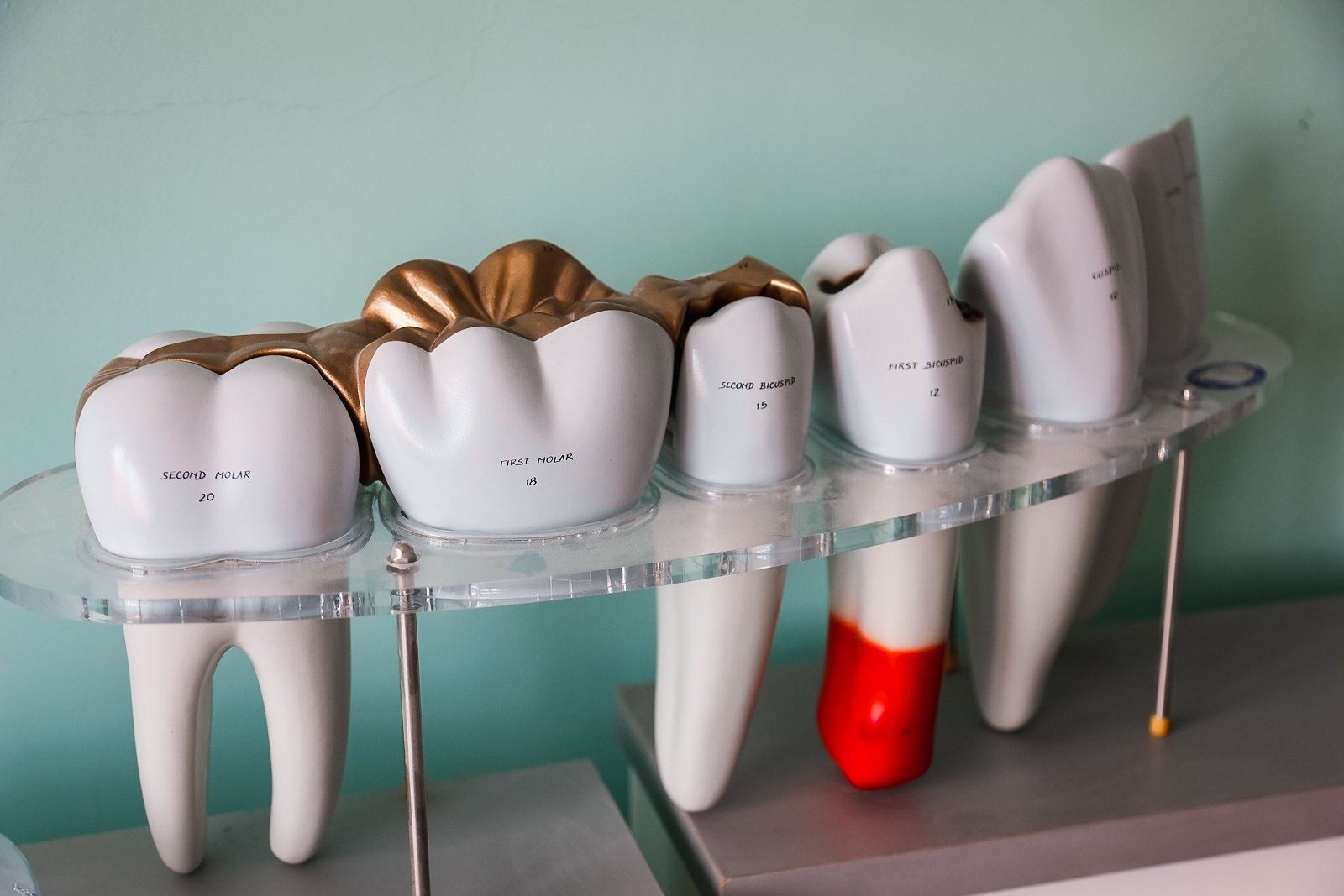 Россияне ездят лечить зубы в Киргизию Илья Аверьянов, ИА PrimaMedia.ru