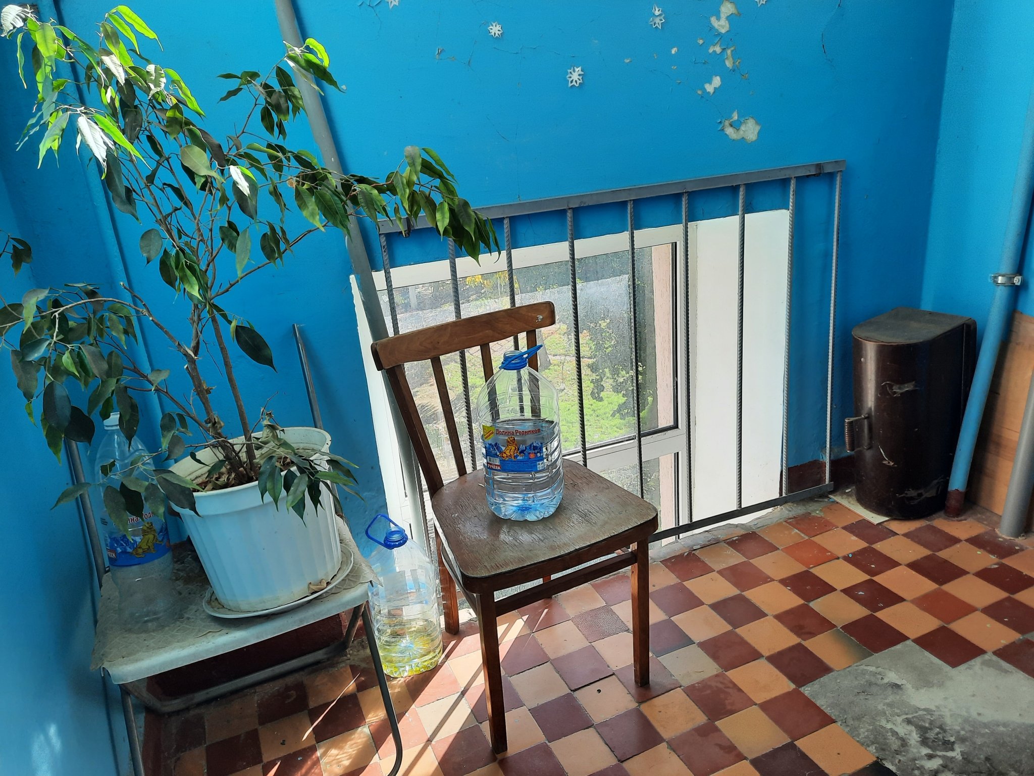 Подъезд Виктория Харченко, ИА PrimaMedia