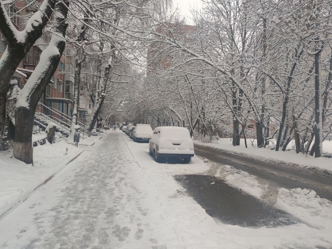 Тематическое фото ИА Stavropol.Media