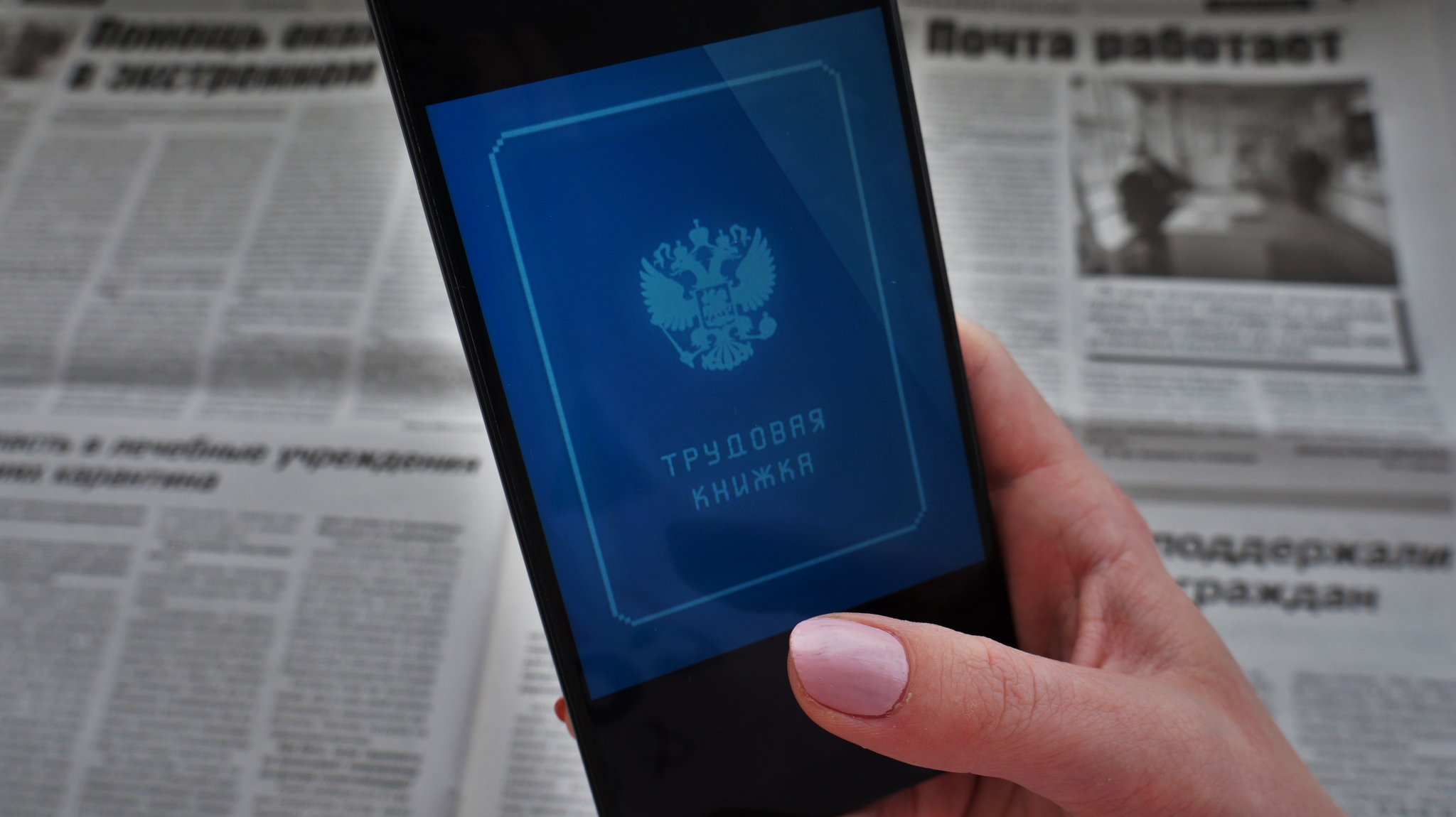 Эксперты выяснили, почему россиянам отказывают в трудоустройстве Ольга Брютова, ИА UssurMedia