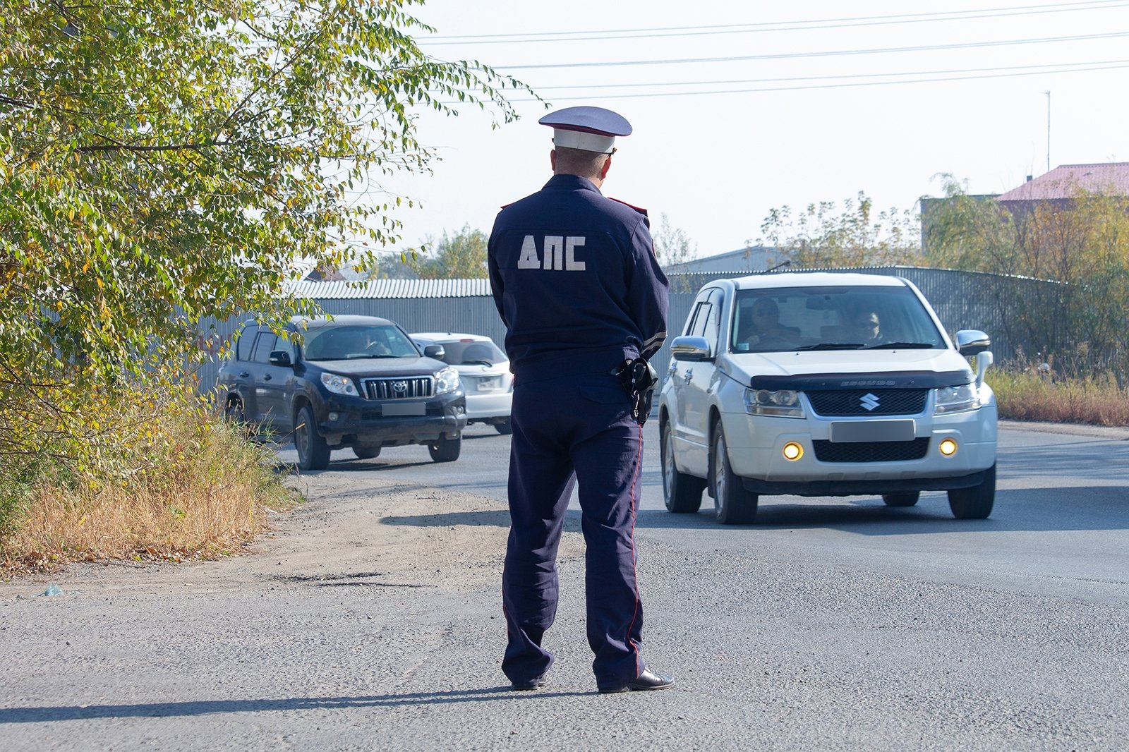 Дорога, дорожно-постовая служба (ДПС), ГАИ, правила дорожного движения (ПДД), автомобиль Юлия Матреницкая, ИА AmurMedia.ru