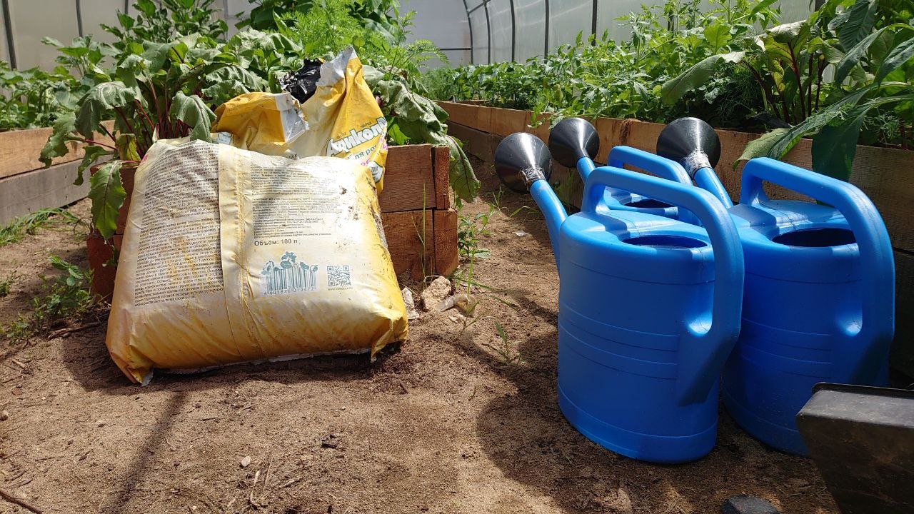 С 1 марта вступают в силу новые правила для владельцев дачных участков ИА EAOMedia