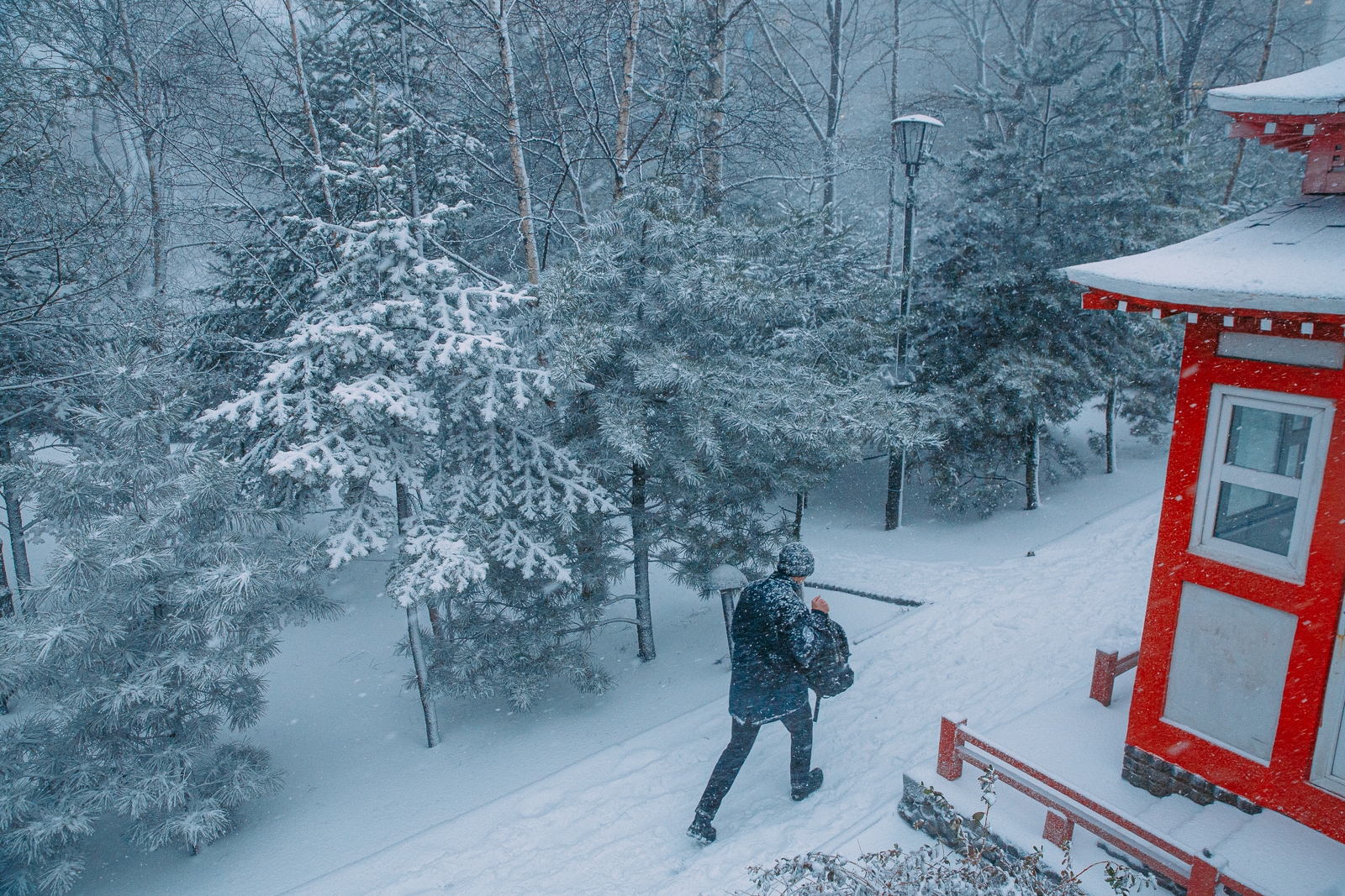 Синоптик предупредил о мощной волне холода Мария Смитюк, ИА PrimaMedia.ru
