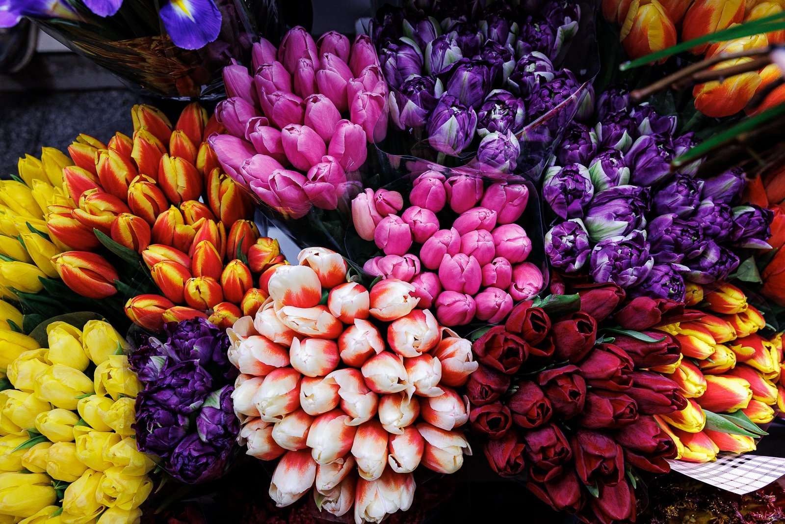 Цветочный магазин Евгений  Кулешов, ИА PrimaMedia.ru