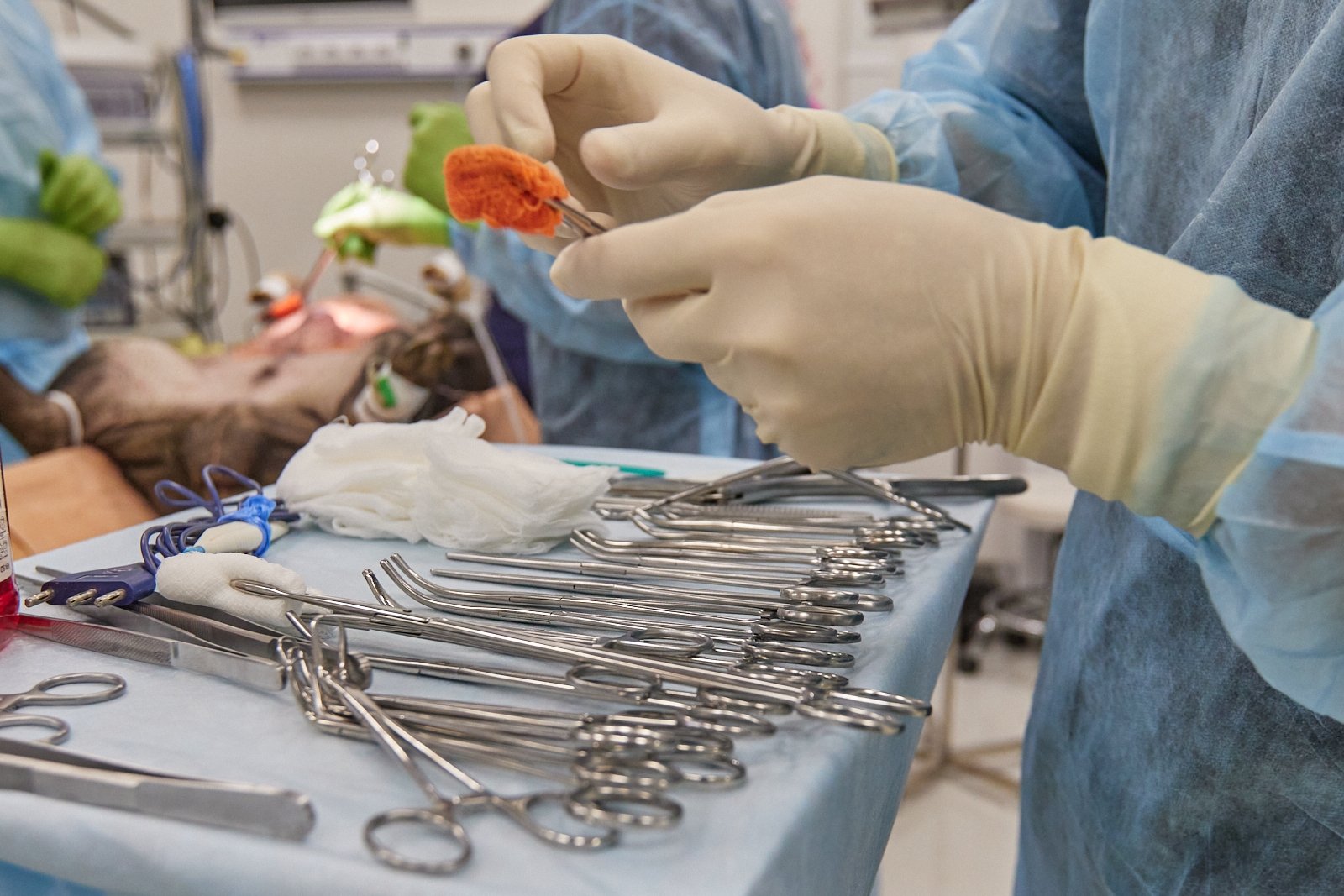 Пациентам в России доступна бесплатная пересадка почки Дмитрий Осипчук, ИА PrimaMedia.ru