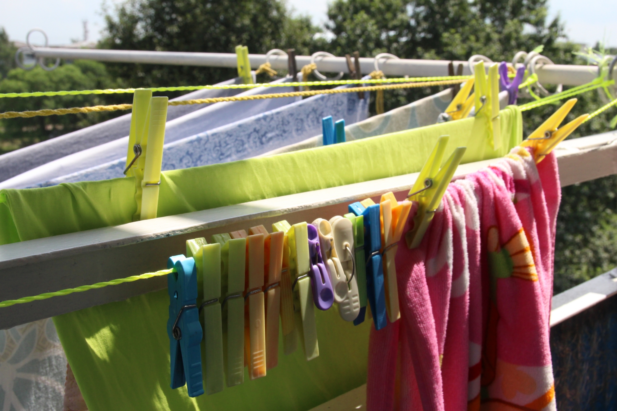 Сушка белья ИА EAOMedia, Письменова Ксения