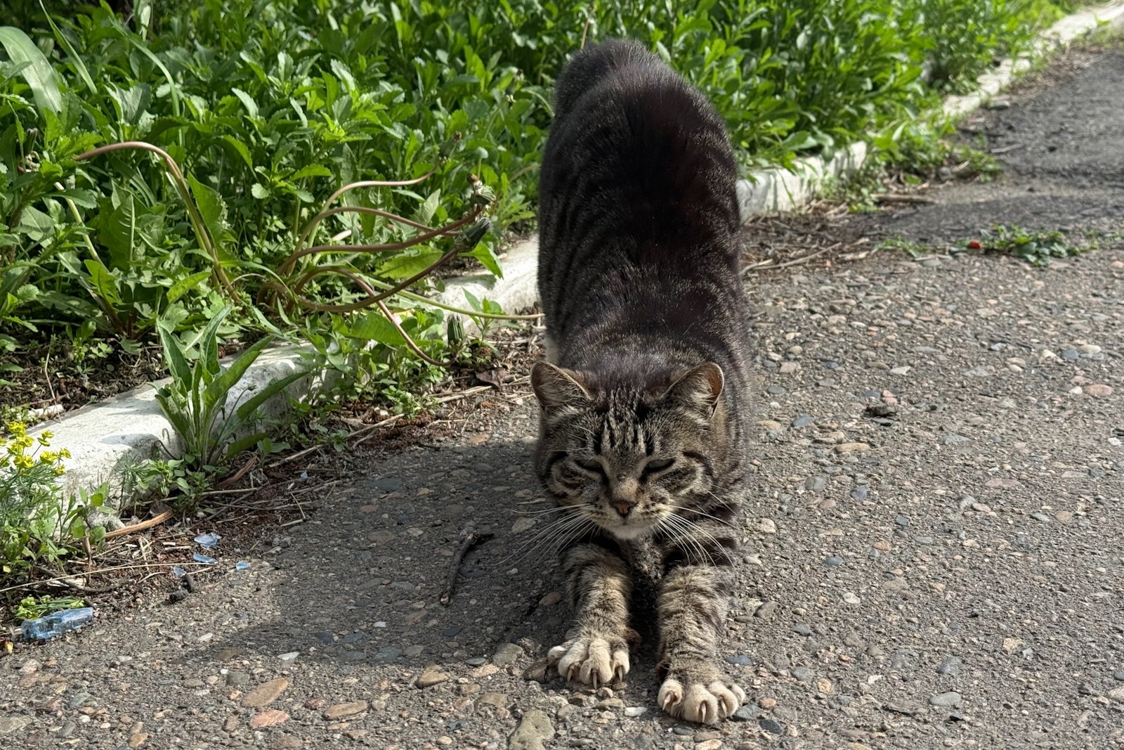 25 марта в Москве ожидается апрельская погода Кудрявцева М. П., ИА UssurMedia.ru