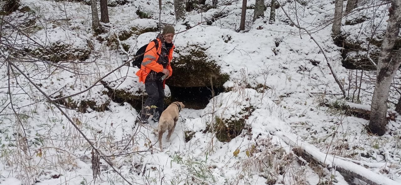 Тайга, где пропали Усольцевы &quotЛиза Алерт&quot