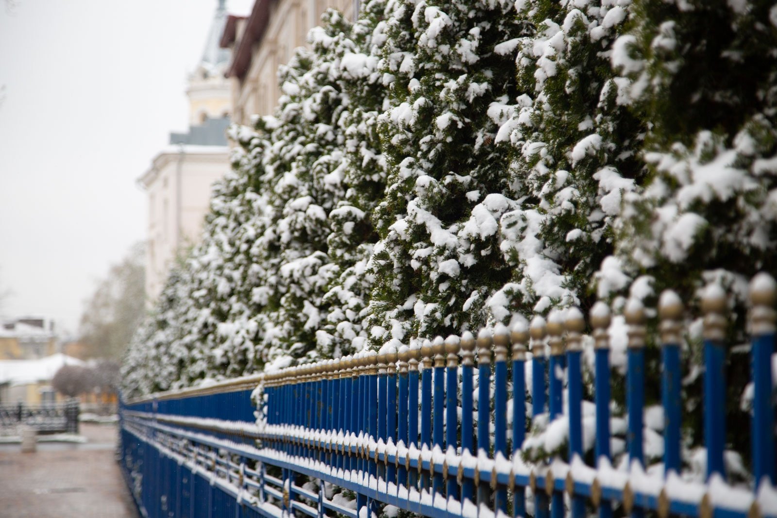 Зима возвращается Артём Хорошилов  , ИА Stavropol.Media