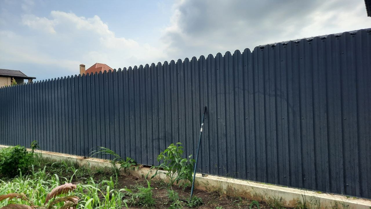 Забор между участками Виктория Процкая, ИА PrimaMedia