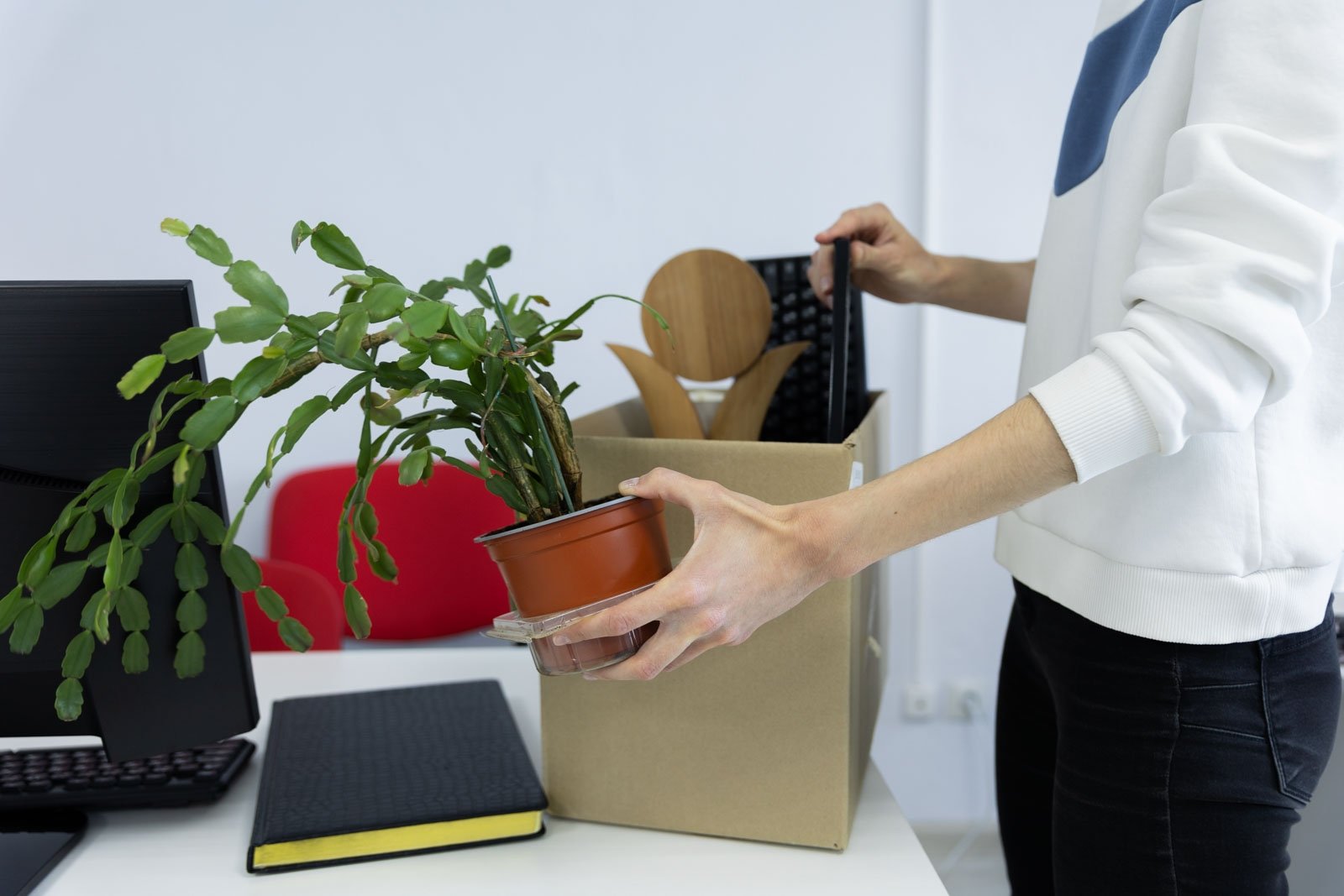 Эксперт назвал главную причину увольнений в 2026 году Артём Хорошилов  , ИА Stavropol.Media